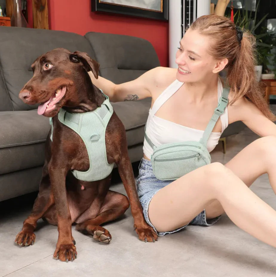 Tokavibes Reflective No-Pull Harness and Leash Set