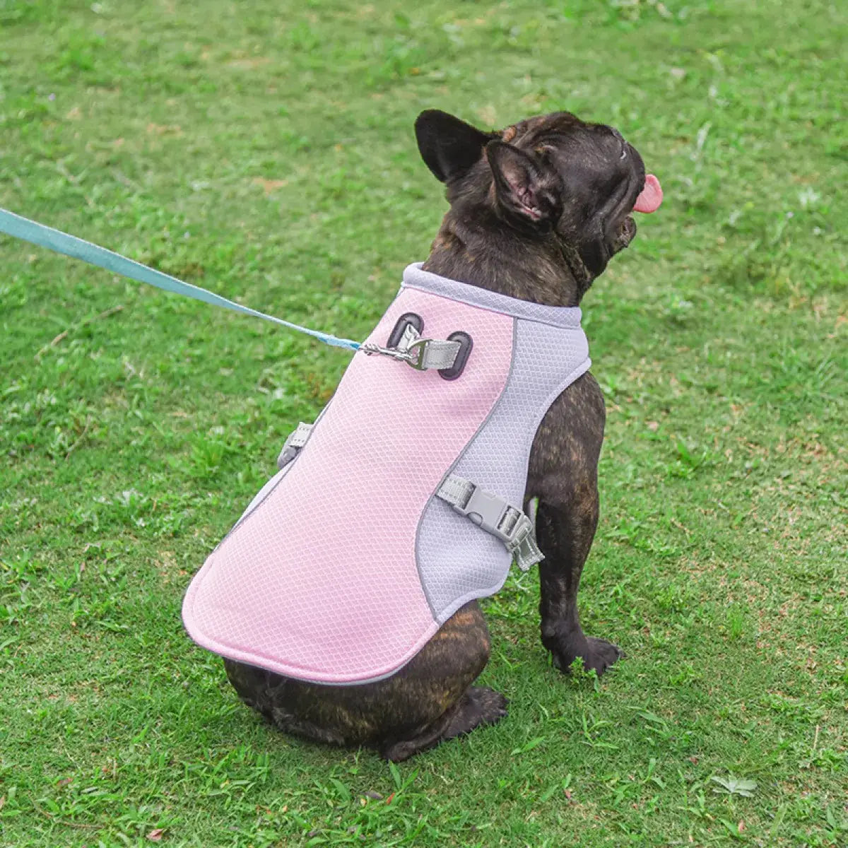 Tokavibes Summer Cooling Dog Vest