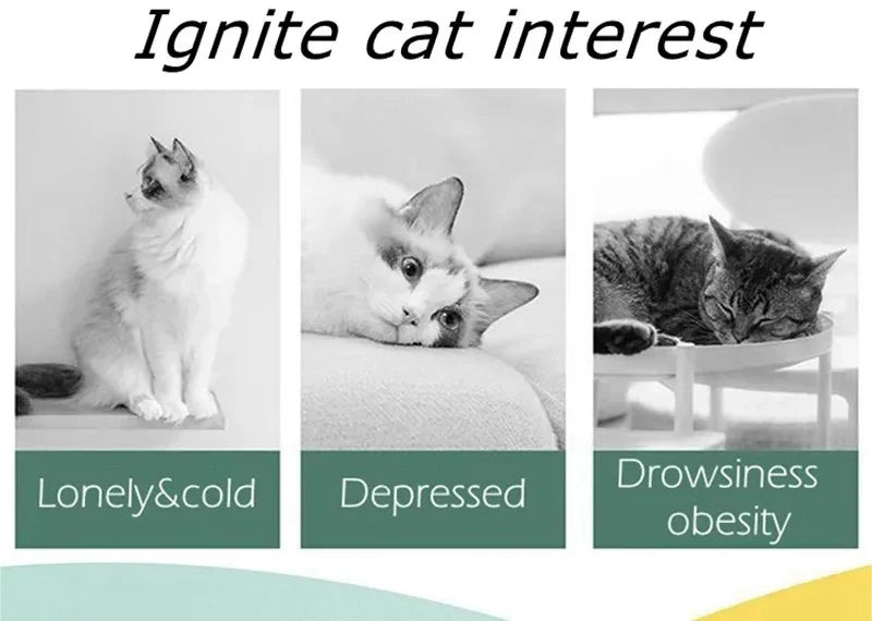 Tokavibes Interactive Cat Launch Toy