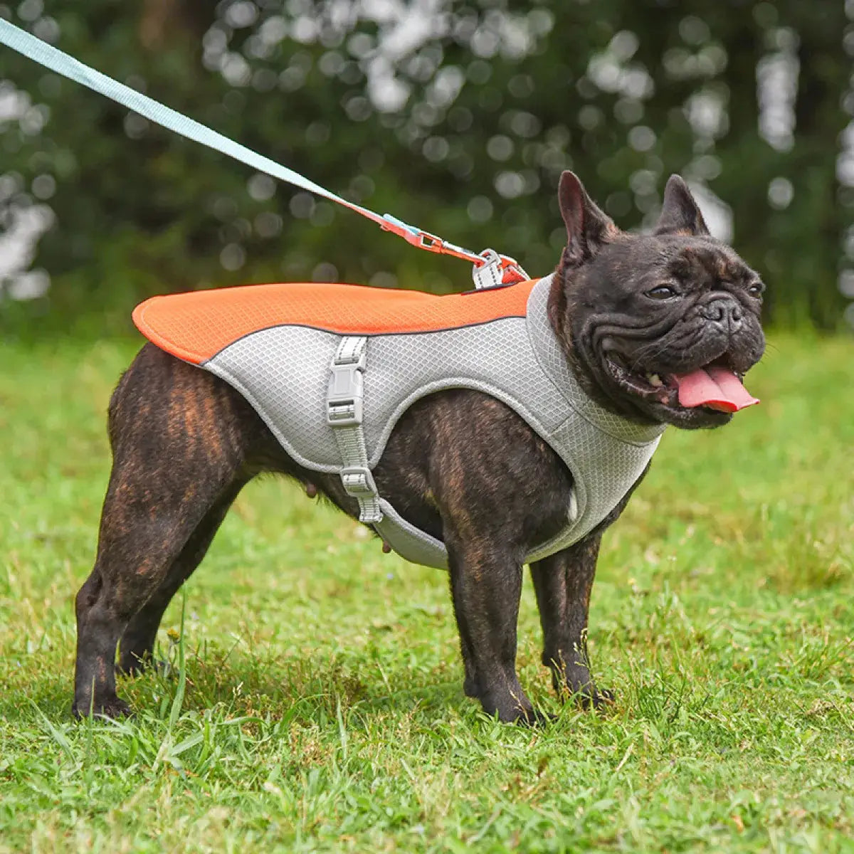 Tokavibes Summer Cooling Dog Vest
