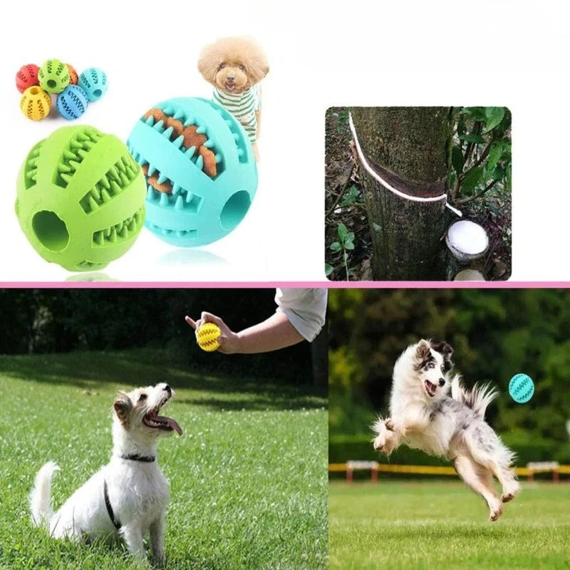Interactive dental treat ball for dogs