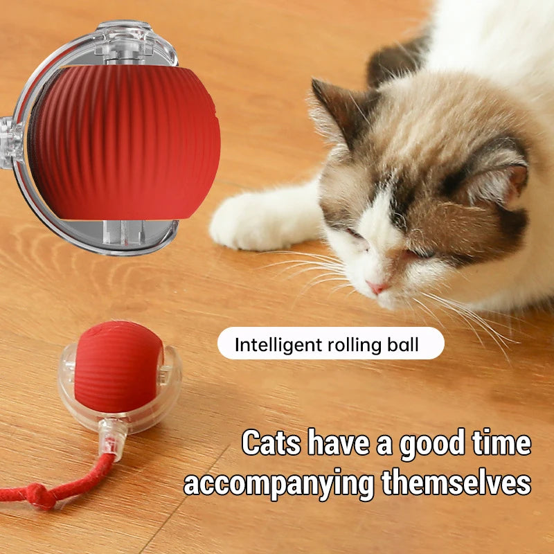Tokavibes Smart Rolling Cat Toy Ball