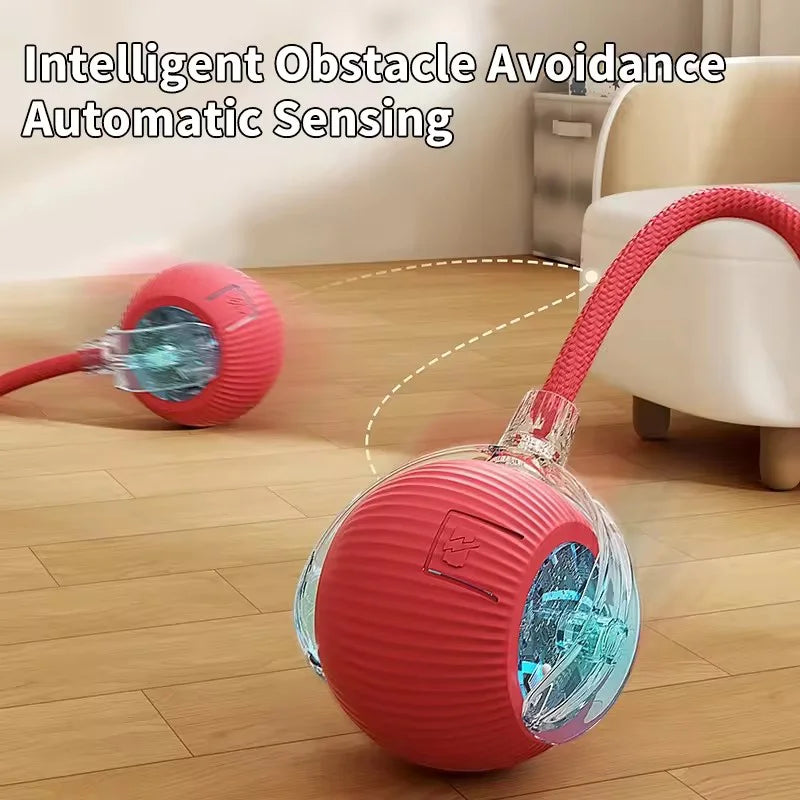 Tokavibes Smart Rolling Cat Toy Ball