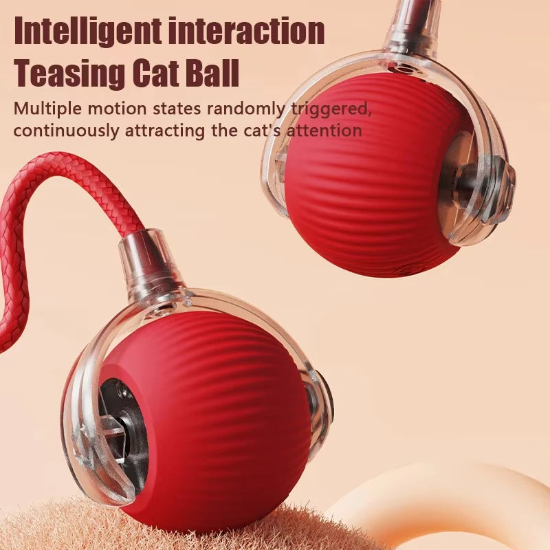 Tokavibes Smart Rolling Cat Toy Ball