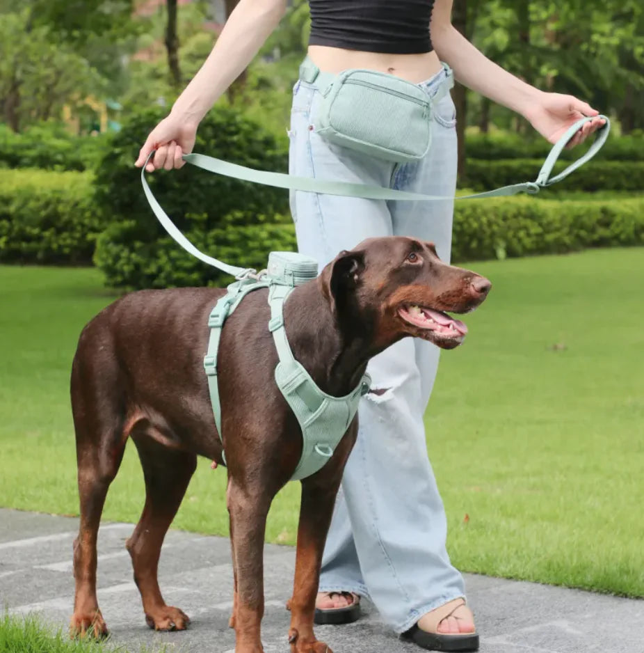 Tokavibes Reflective No-Pull Harness and Leash Set