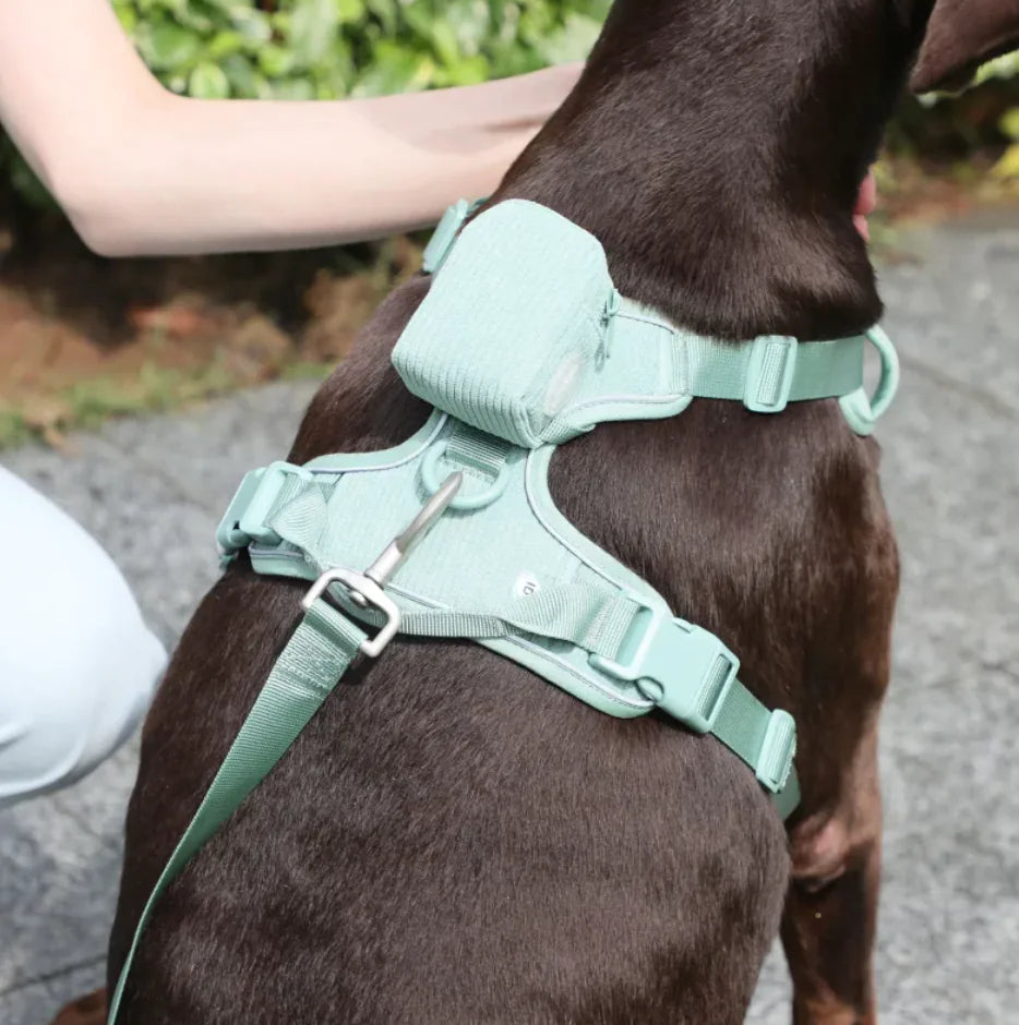 Tokavibes Reflective No-Pull Harness and Leash Set