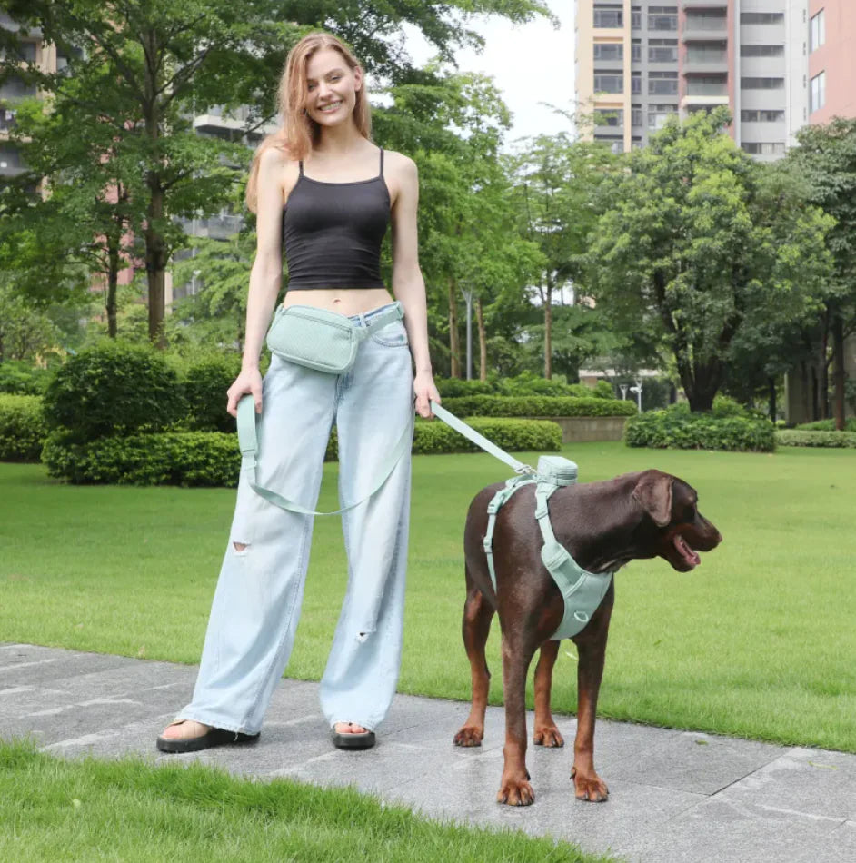 Tokavibes Reflective No-Pull Harness and Leash Set