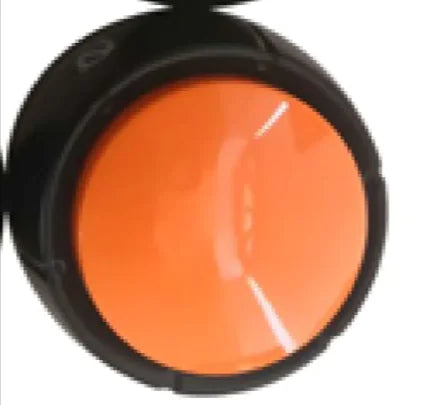 Pet communication training button