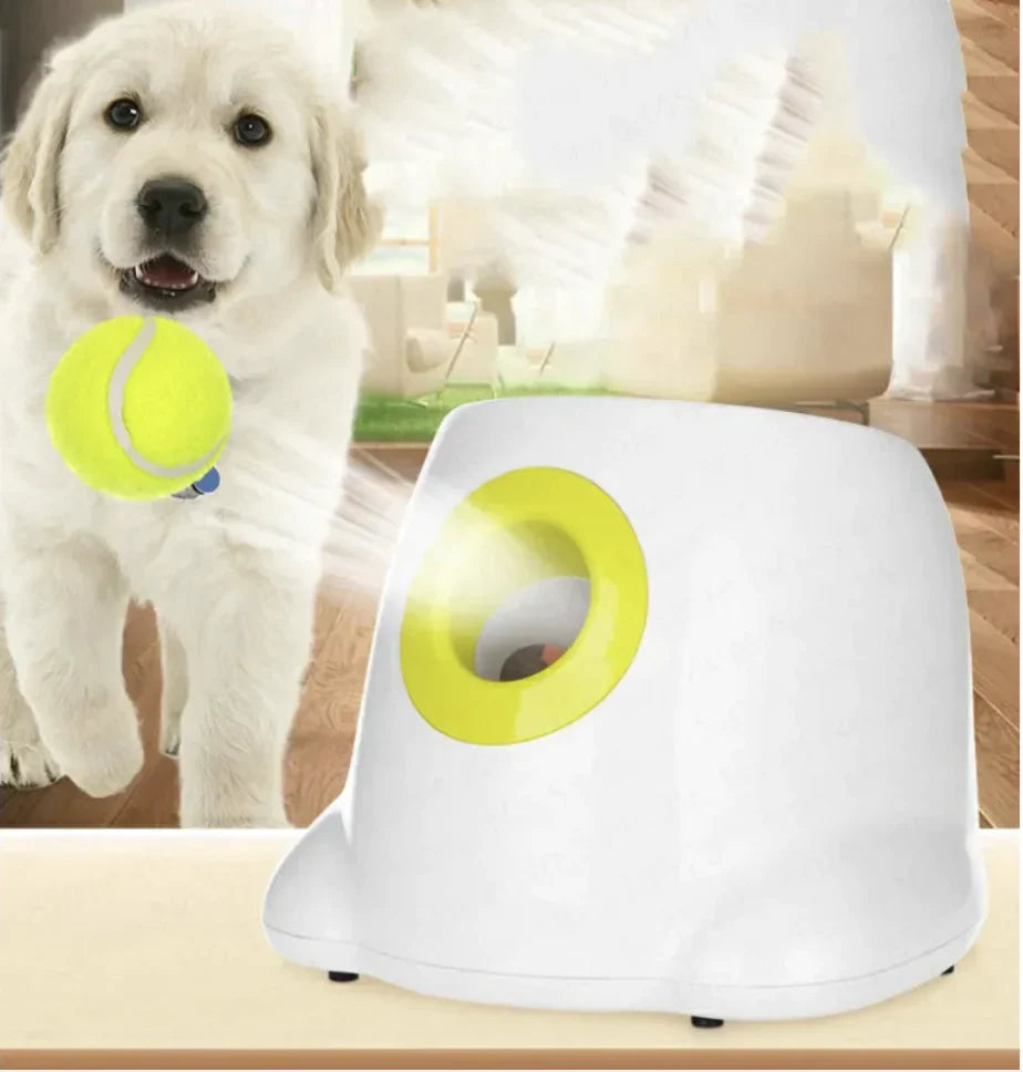 Tokavibes AutoFetch Dog Ball Launcher