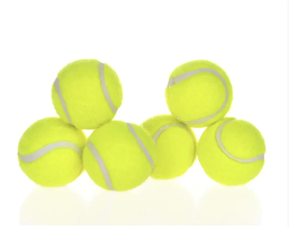Tokavibes AutoFetch Dog Ball Launcher
