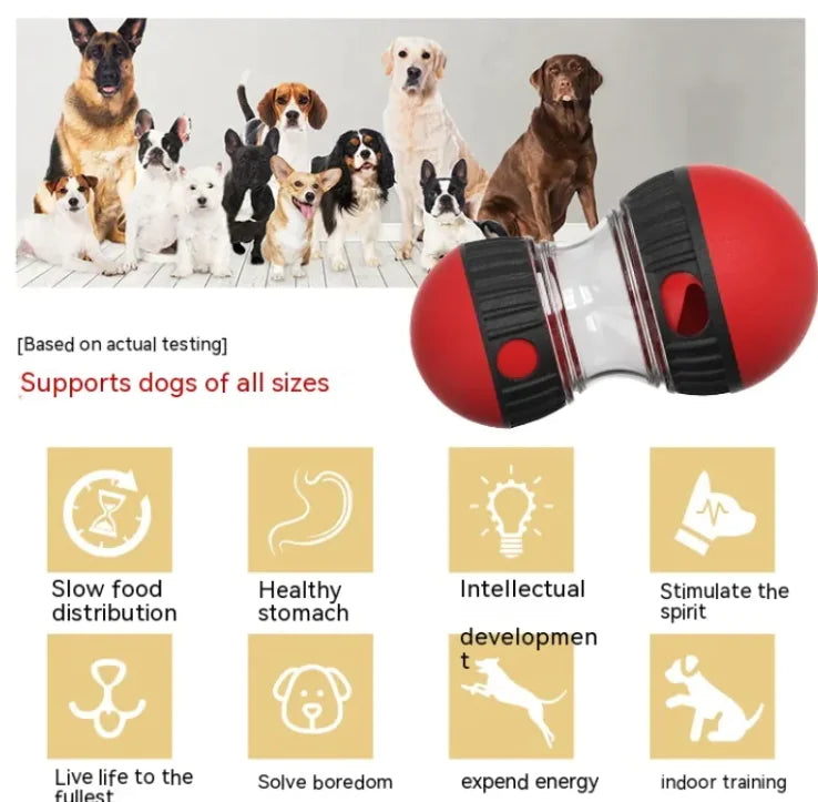 Interactive dog treat dispenser